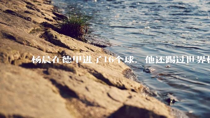 杨晨在德甲进了16个球，他还踢过世界杯，为何杨晨从来不说自己是中国第一前锋?