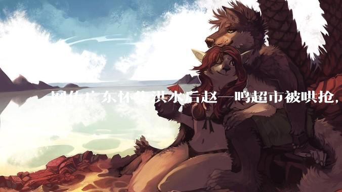 网传广东怀集洪水后赵一鸣超市被哄抢，县***回应相关单位正在核实，若属实哄抢者该承担哪些法律责任？
