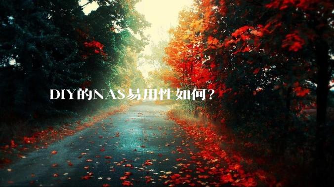 DIY的NAS易用性如何？